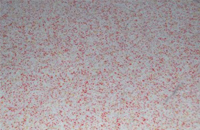 1536289637585404.jpg d7236255-75a6-4c19-a662-0b71a9c801d7.jpg